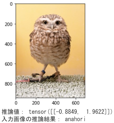 フクロウ分類器の推論結果