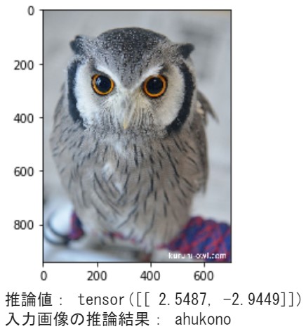 フクロウ分類器の推論結果